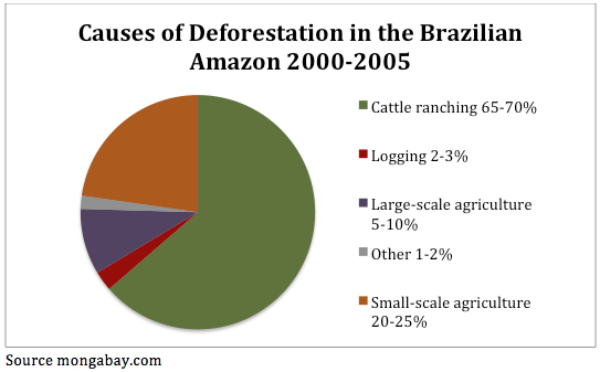 Amazon Rainforest - Deforestation in the Brazilian Amazon 2000-2005