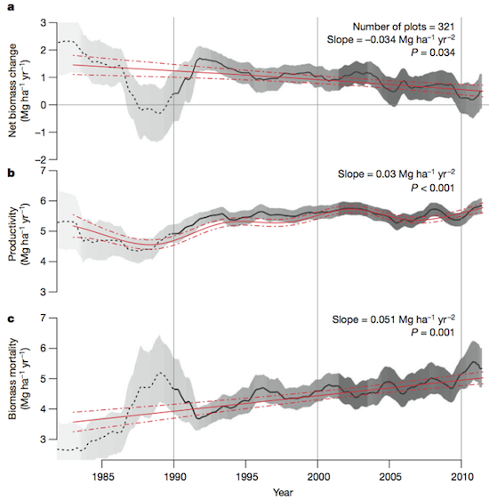 Amazon Trees Dying, Absorption of Carbon Dioxide Declines